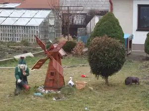 kuk přes plot