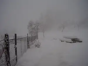 dnešni rano :-(