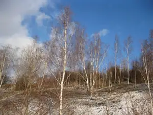 Sobotní dopoledne.