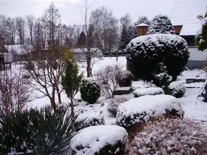 16.1 2012