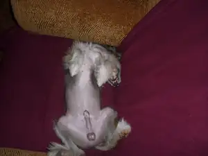 odpočinek