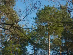 emilka12 — 25. ledna 2012