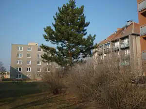 emilka12 — 27. ledna 2012