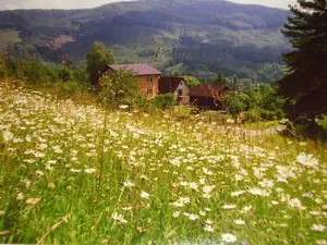 Maariee — 27. ledna 2012