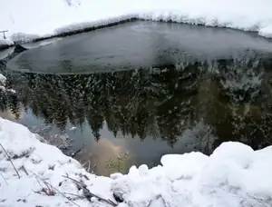 zrcadlení
