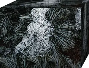 iris66 — 3. února 2012