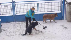 Máme sníh a masopust