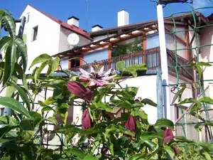 keramo — 13. února 2012
