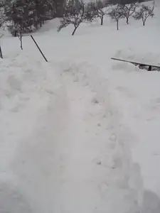 moje prace 🙂