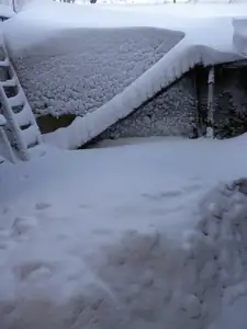 Ve dvoře