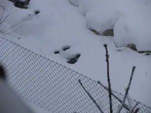Stále padá a padá