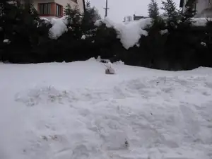 sněhu hromady už to není kam dávat