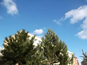 Je tady jaro