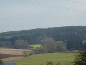 sem chodím na houby