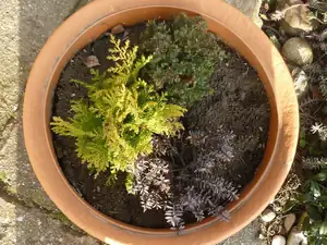 kyti5 — 2. března 2012