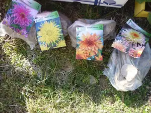 kyti5 — 16. března 2012