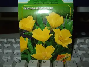 iris66 — 20. března 2012