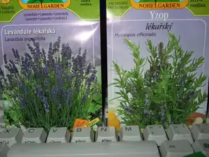 iris66 — 20. března 2012