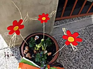 iris66 — 24. března 2012
