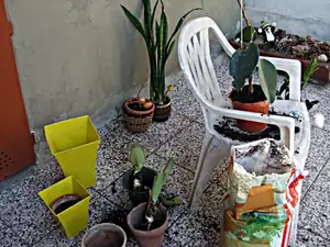 iris66 — 24. března 2012