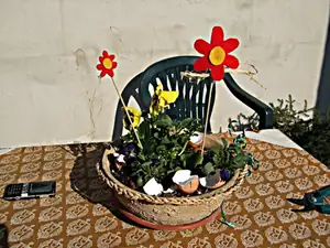 iris66 — 24. března 2012