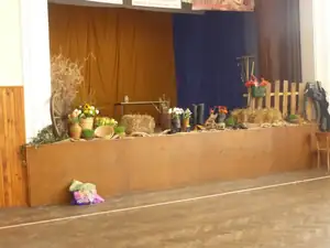 sobota 24.3 příprava na jezdecký ples