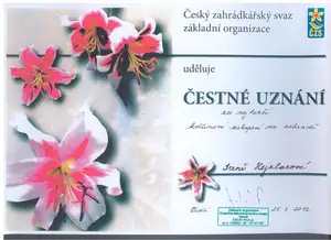 kosnikovna — 26. března 2012
