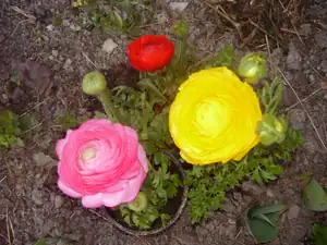 Maariee — 28. března 2012