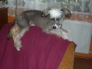 ODPOČINEK