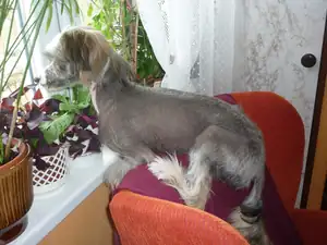 VEČERNÍ SPÁNEK