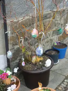 na vrbičce