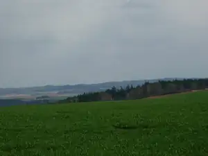 a všude lesy i v dáli