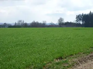 jdeme kolem pole