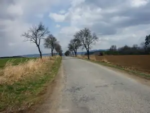tudy, ne