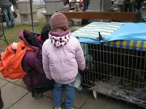 sud — 5. dubna 2012