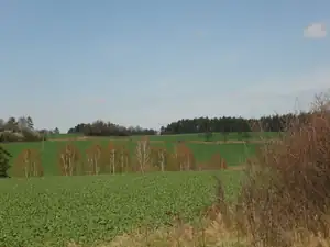 kyti5 — 11. dubna 2012
