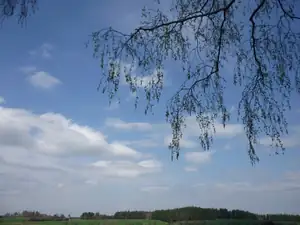 kyti5 — 11. dubna 2012