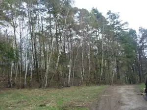 kyti5 — 13. dubna 2012