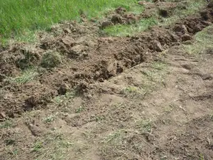 MOJE BUDOUCÍ ZAHRADA