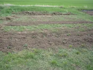 TOHLE MUSÍM ZURODNIT.
