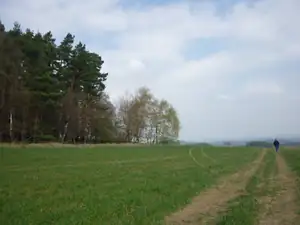 kyti5 — 14. dubna 2012