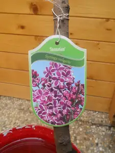 ..krasavec, že? 🙂