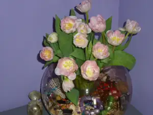 tulipány