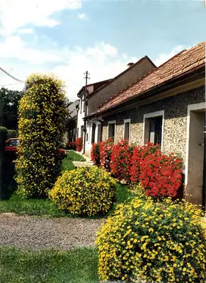 Dvouzubec