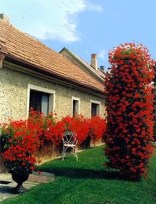 Balkónová zahrada