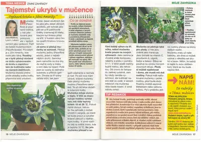 Mučenka (Passiflora) - vše o mučenkách