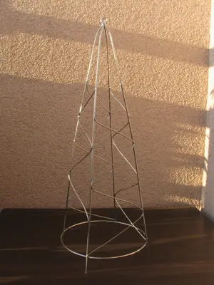 Mučenka (Passiflora) - vše o mučenkách