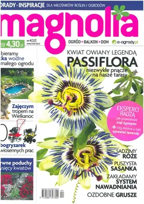 Mučenka (Passiflora) - vše o mučenkách