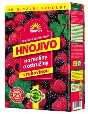 Maliny - jak se o ně starat?