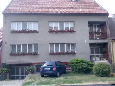 Bougainvillea vášeň pro její pěstování